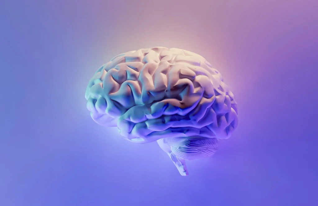 brain